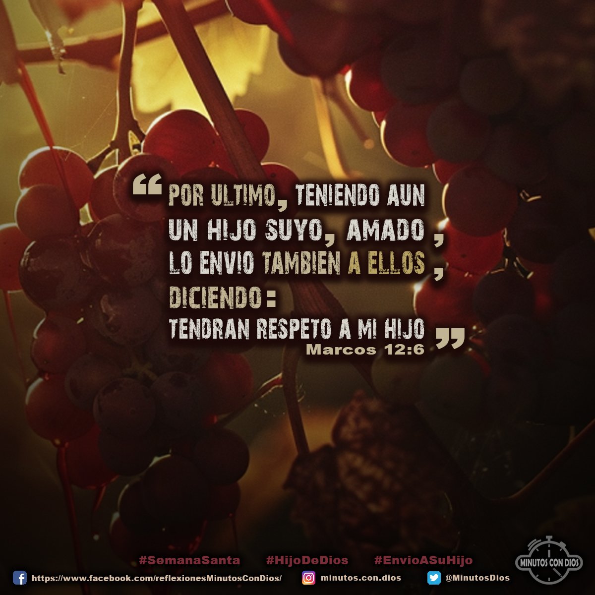Por último, teniendo aún un hijo suyo, amado, lo envió también a ellos, diciendo: Tendrán respeto a mi hijo. Marcos 12:6 RVR1960 #SemanaSanta, #HijoDeDios, #EnvioASuHijo, #MinutosConDios, #ReflexionesDiarias