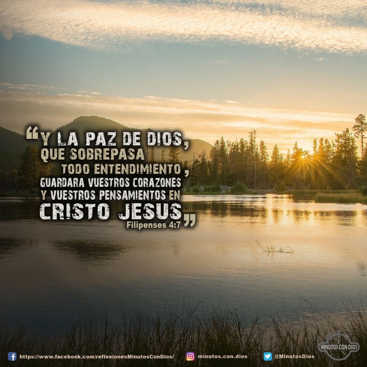 Y la paz de Dios, que sobrepasa todo entendimiento, guardará vuestros corazones y vuestros pensamientos en Cristo Jesús. Filipenses 4:7 RVR1960 #PazDeDios, #PazQueSobrepasaTodoEntendimiento, #MinutosConDios, #ReflexionesDiarias