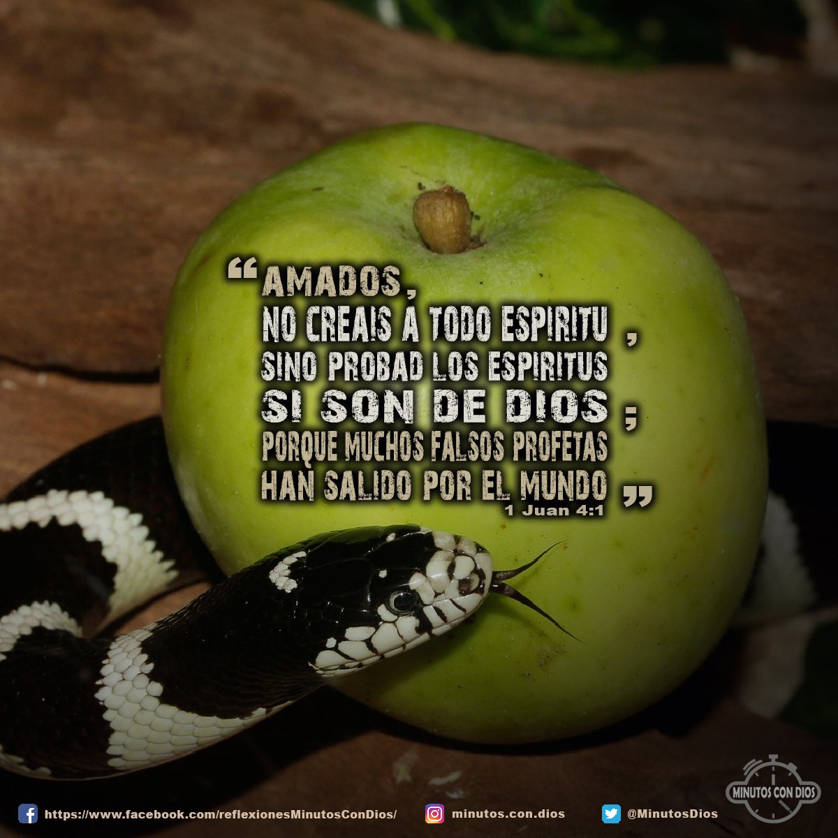 Amados, no creáis a todo espíritu, sino probad los espíritus si son de Dios; porque muchos falsos profetas han salido por el mundo 1 Juan 4:1 RVR1960 #ProbandoLosEspiritusDeLosProfetas, #FalsosProfetas, #MinutosConDios, #ReflexionesDiarias