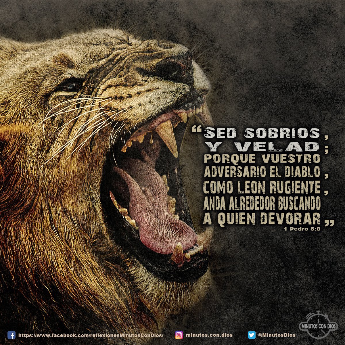 Sed sobrios, y velad; porque vuestro adversario el diablo, como león rugiente, anda alrededor buscando a quien devorar 1 Pedro 5:8 RVR1960 #SedSobriosYVelad, #ElLeonRugiente, #CuidandonosDelDiablo, #MinutosConDios, #ReflexionesDiarias