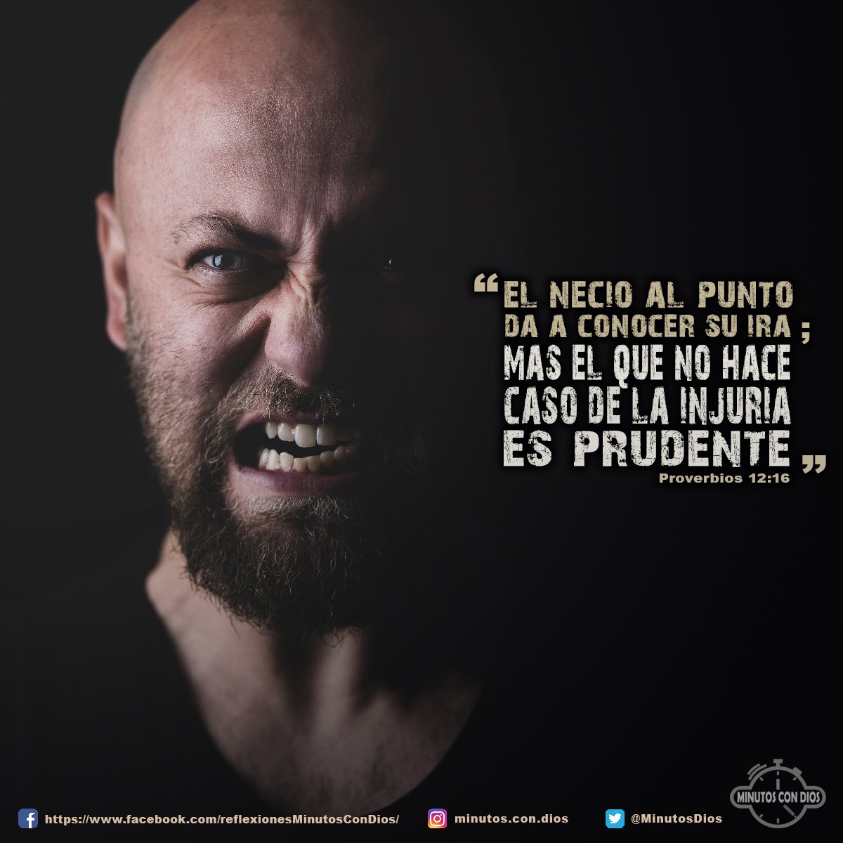 El necio al punto da a conocer su ira; Mas el que no hace caso de la injuria es prudente. Proverbios 12:16 RVR1960 #HombrePrudente, #ElNecioRespondeConIra, #MinutosConDios, #ReflexionesDiarias