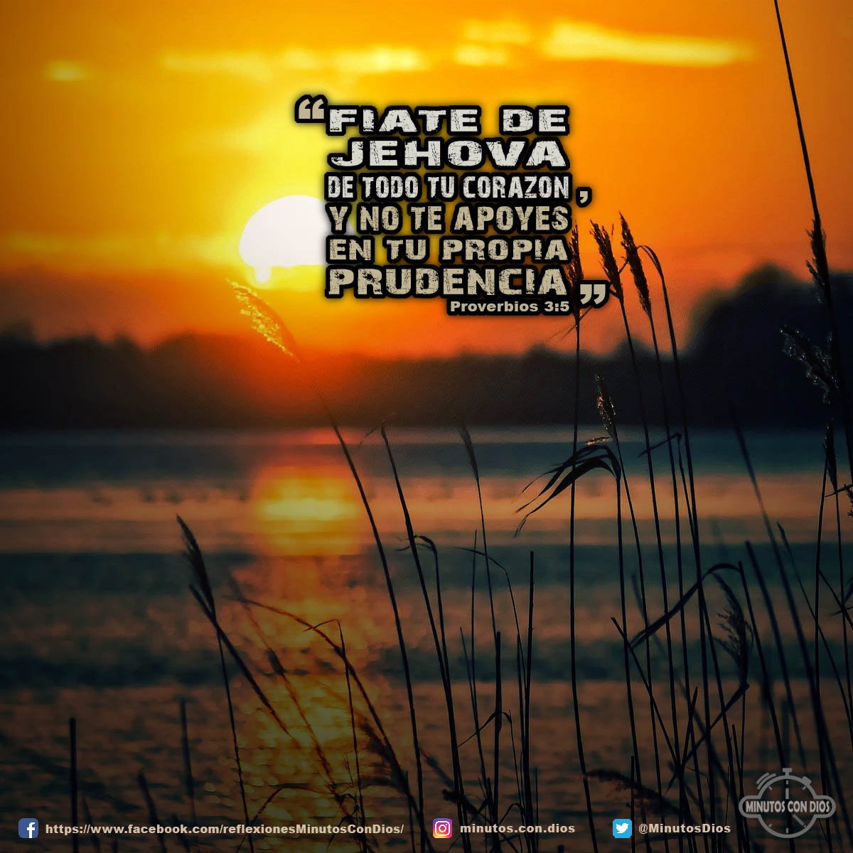 Fíate de Jehová de todo tu corazón, Y no te apoyes en tu propia prudencia. Proverbios 3:5 RVR1960 #FiandoEnDios, #NoConfiarSoloEnNuestraInteligencia, #MinutosConDios, #ReflexionesDiarias