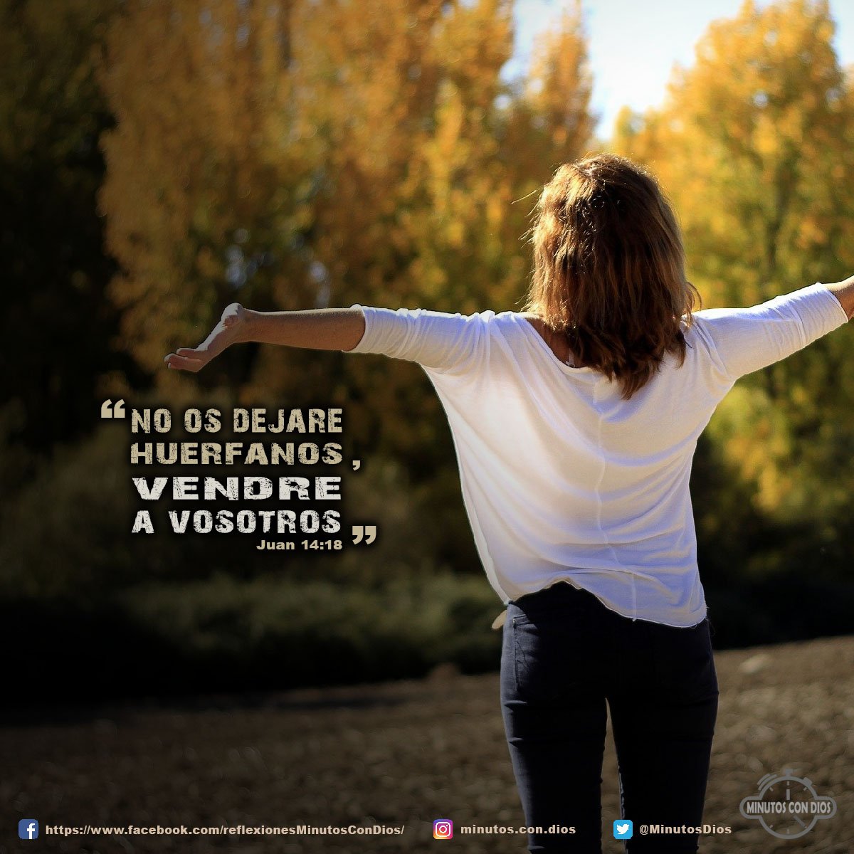 No os dejaré huérfanos; vendré a vosotros. Juan 14:18 RVR1960 #CristoNoNosDejaHuerfanos, #ElEspirituVendraANosotros, #MinutosConDios, #ReflexionesDiarias