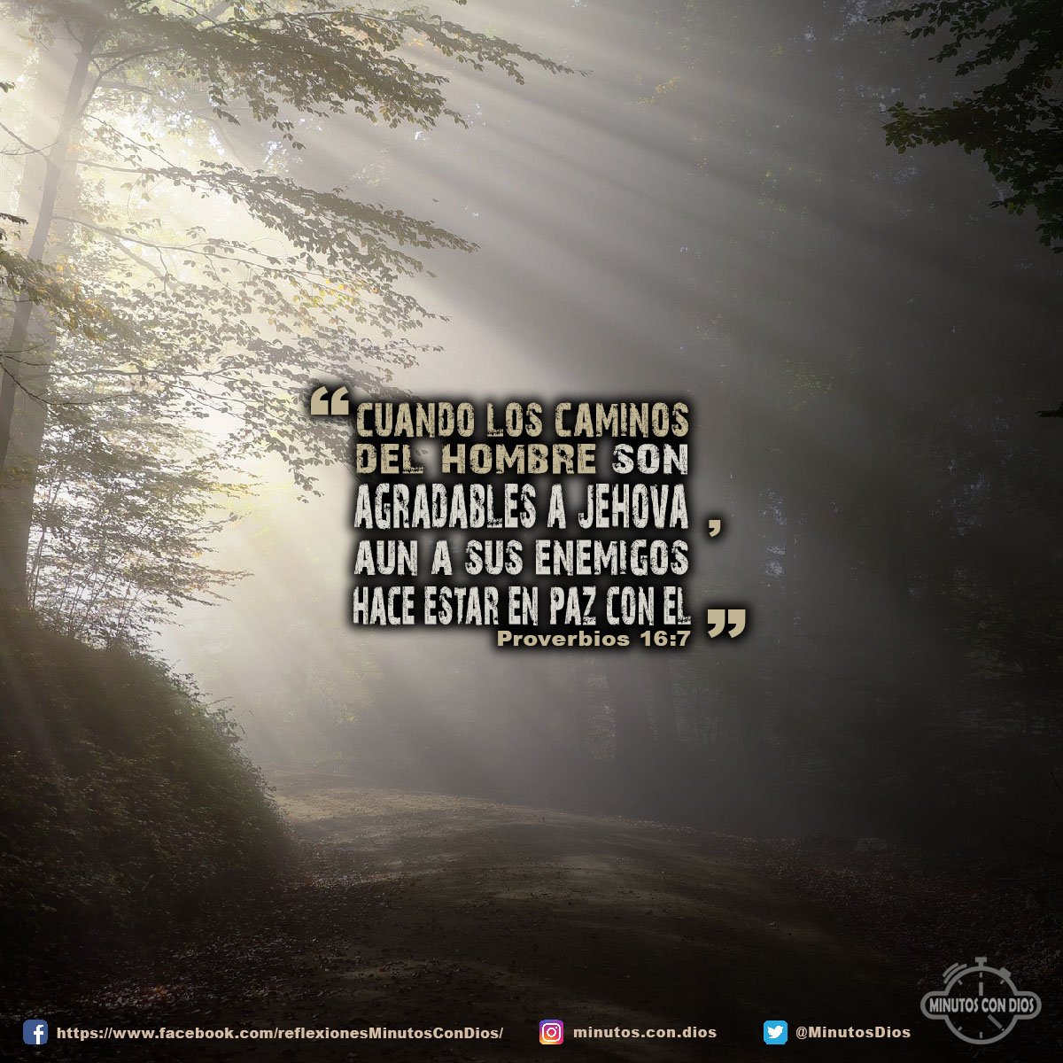Cuando los caminos del hombre son agradables a Jehová, aun a sus enemigos hace estar en paz con él. Proverbios 16:7 RVR1960 #AgradandoADios, #CaminosDelHombre, #MinutosConDios, #ReflexionesDiarias