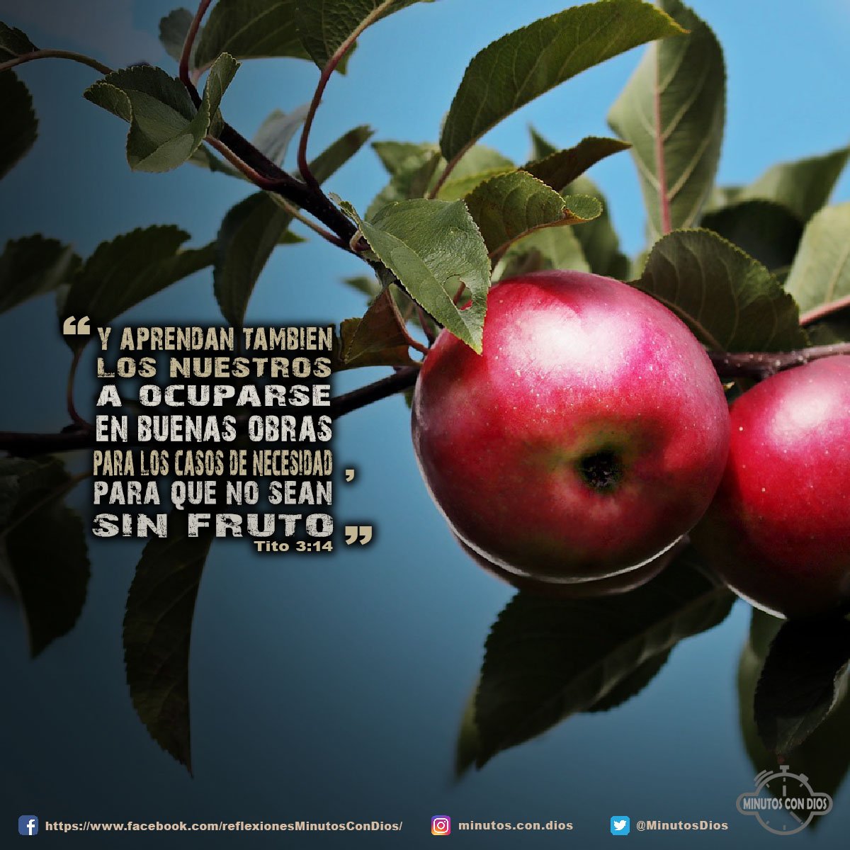 Y aprendan también los nuestros a ocuparse en buenas obras para los casos de necesidad, para que no sean sin fruto. Tito 3:14 RVR1960 #OcupandonosEnBuenasObras, #LlevandoFrutos, #MinutosConDios, #ReflexionesDiarias