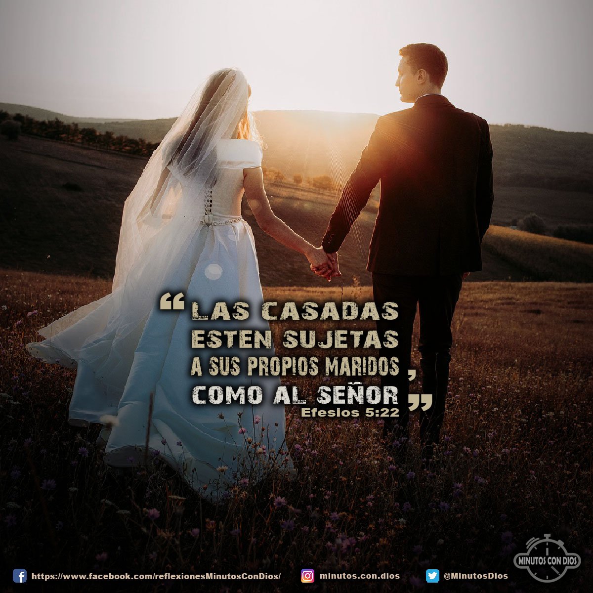 Las casadas estén sujetas a sus propios maridos, como al Señor. Efesios 5:22 RVR1960 #LasMujeresCasadas, #SujetasASusEsposos, #MinutosConDios, #ReflexionesDiarias