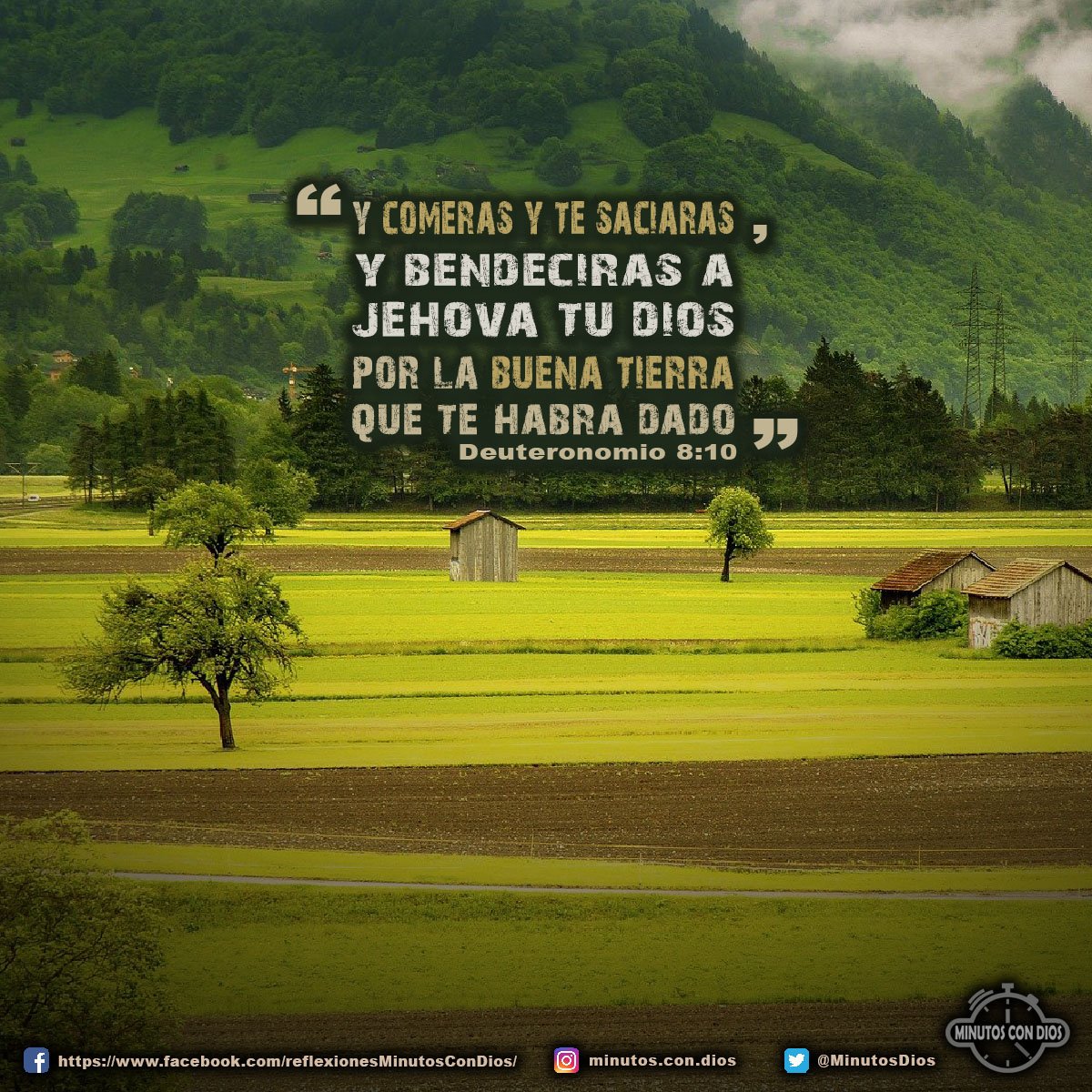Y comerás y te saciarás, y bendecirás a Jehová tu Dios por la buena tierra que te habrá dado. Deuteronomio 8:10 RVR1960 #BendecirasADios, #ComerasYTeSaciaras, #MinutosConDios, #ReflexionesDiarias