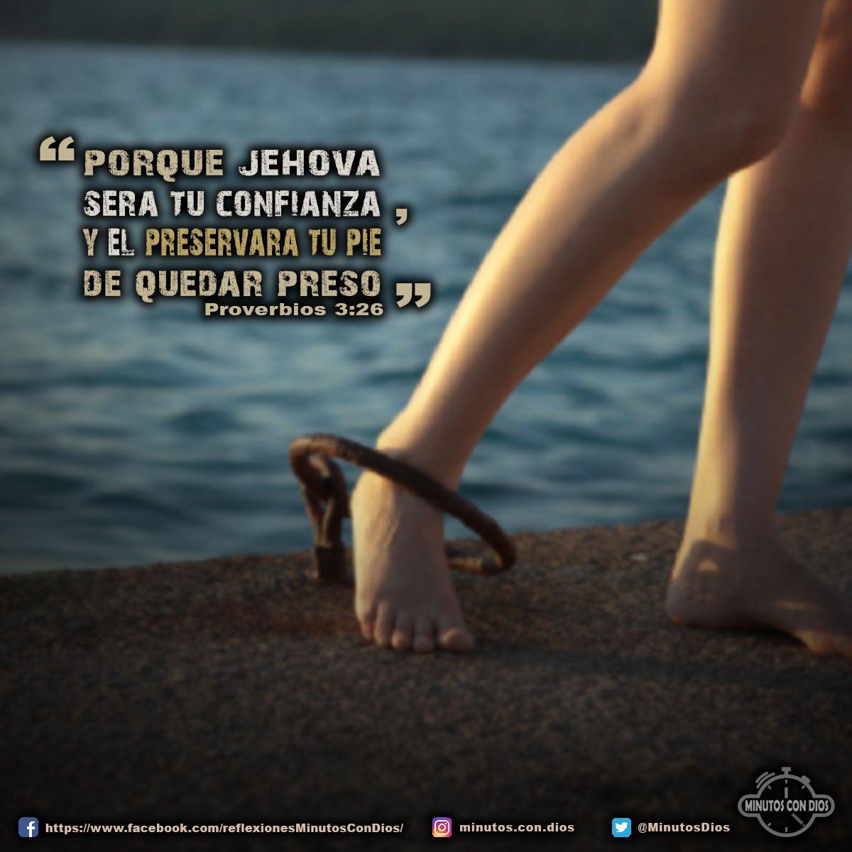 Porque Jehová será tu confianza, y él preservará tu pie de quedar preso. Proverbios 3:26 RVR1960 #DiosSeraTuConfianza, #DiosTeLibrara, #MinutosConDios, #ReflexionesDiarias