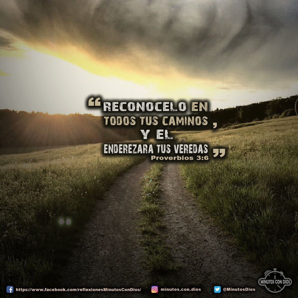 Reconócelo en todos tus caminos, y él enderezará tus veredas. Proverbios 3:6 RVR1960 #ReconoceADios, #DiosEnderezaTusPasos, #MinutosConDios, #ReflexionesDiarias
