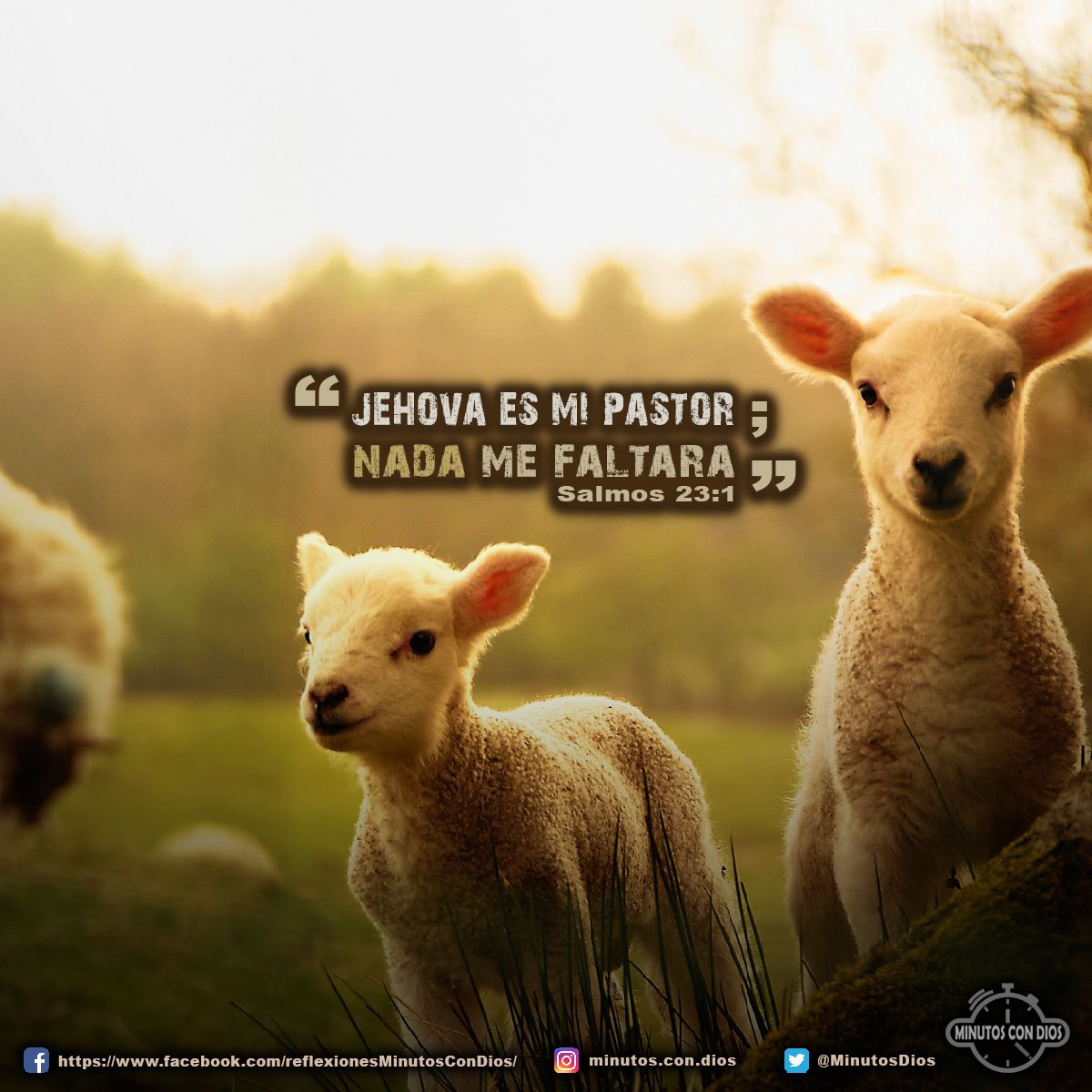 Jehová es mi pastor; nada me faltará. Salmos 23:1 RVR1960 #JehovaEsMiPastor, #NadaMeFaltara, #MinutosConDios, #ReflexionesDiarias