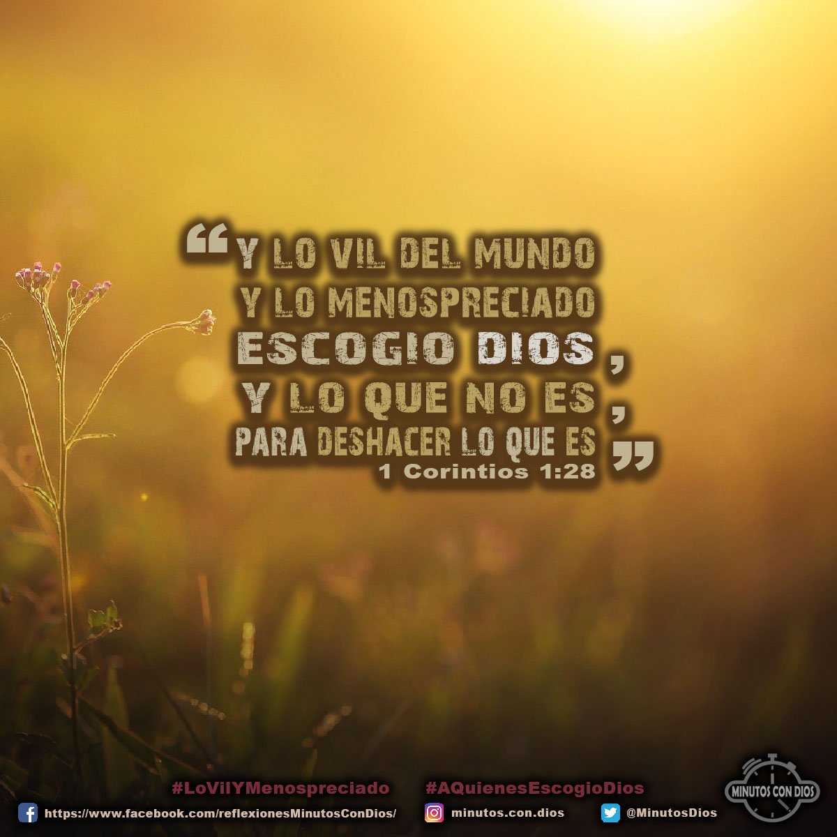y lo vil del mundo y lo menospreciado escogió Dios, y lo que no es, para deshacer lo que es. 1 Corintios 1:28 RVR1960 #LoVilYMenospreciado, #AQuienesEscogioDios, #MinutosConDios, #ReflexionesDiarias