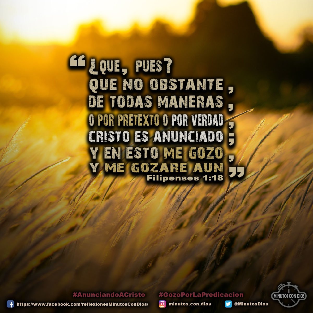 ¿Qué, pues? Que no obstante, de todas maneras, o por pretexto o por verdad, Cristo es anunciado; y en esto me gozo, y me gozaré aún. Filipenses 1:18 RVR1960 #AnunciandoACristo, #GozoPorLaPredicacion, #MinutosConDios, #ReflexionesDiarias