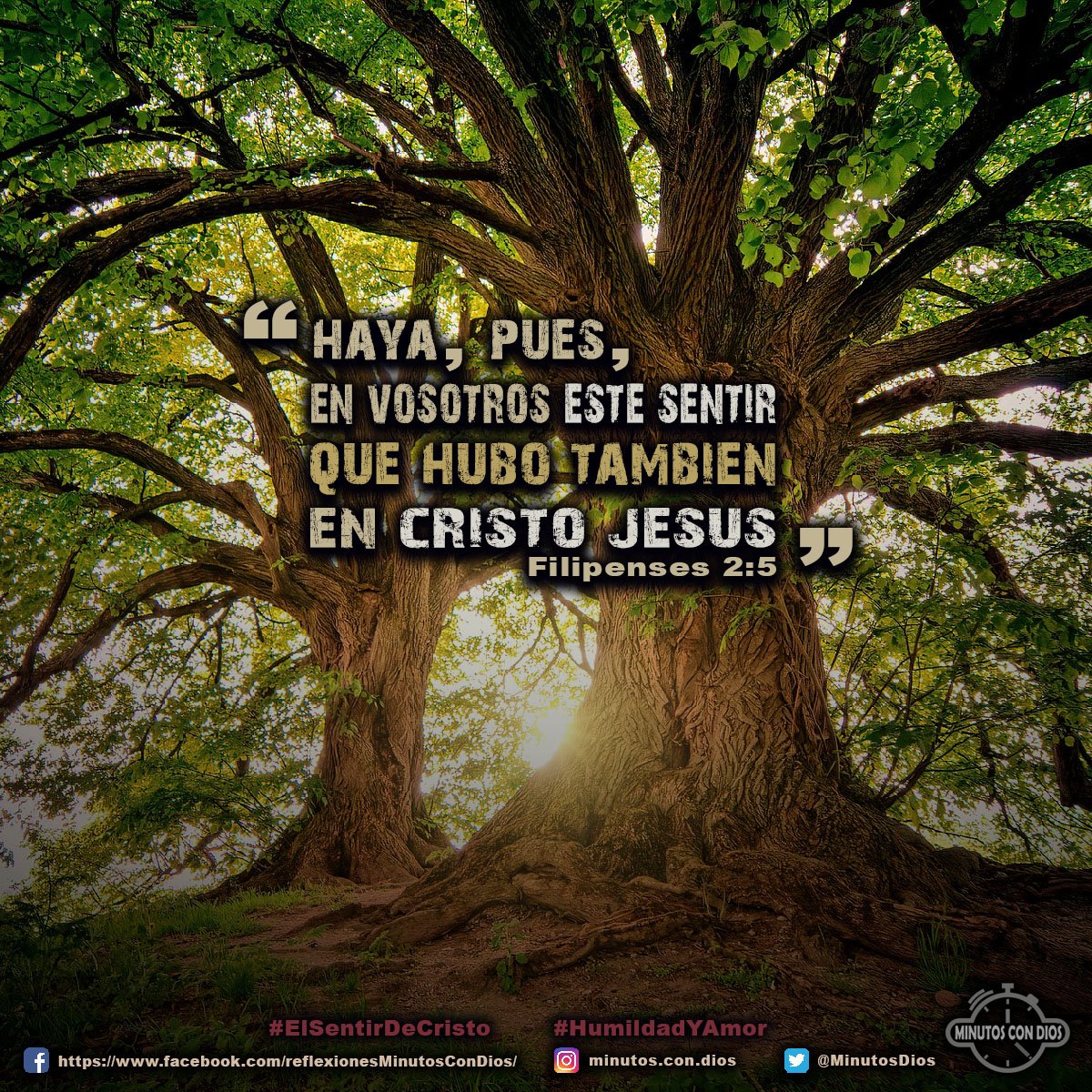 Haya, pues, en vosotros este sentir que hubo también en Cristo Jesús. Filipenses 2:5 RVR1960 #ElSentirDeCristo, #HumildadYAmor, #MinutosConDios, #ReflexionesDiarias