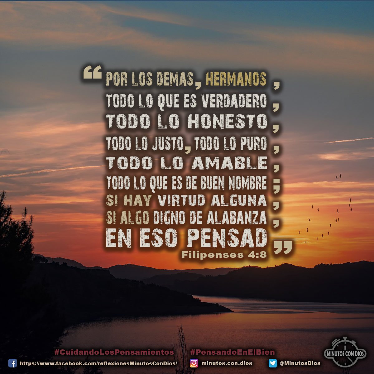 Por lo demás, hermanos, todo lo que es verdadero, todo lo honesto, todo lo justo, todo lo puro, todo lo amable, todo lo que es de buen nombre; si hay virtud alguna, si algo digno de alabanza, en esto pensad. Filipenses 4:8 RVR1960 #CuidandoLosPensamientos, #PensandoEnLoBueno, #MinutosConDios, #ReflexionesDiarias