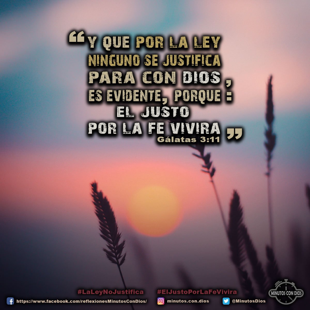 Y que por la ley ninguno se justifica para con Dios, es evidente, porque: El justo por la fe vivirá. Gálatas 3:11 RVR1960 #LaLeyNoJustifica, #ElJustoPorLaFeVivira, #MinutosConDios, #ReflexionesDiarias