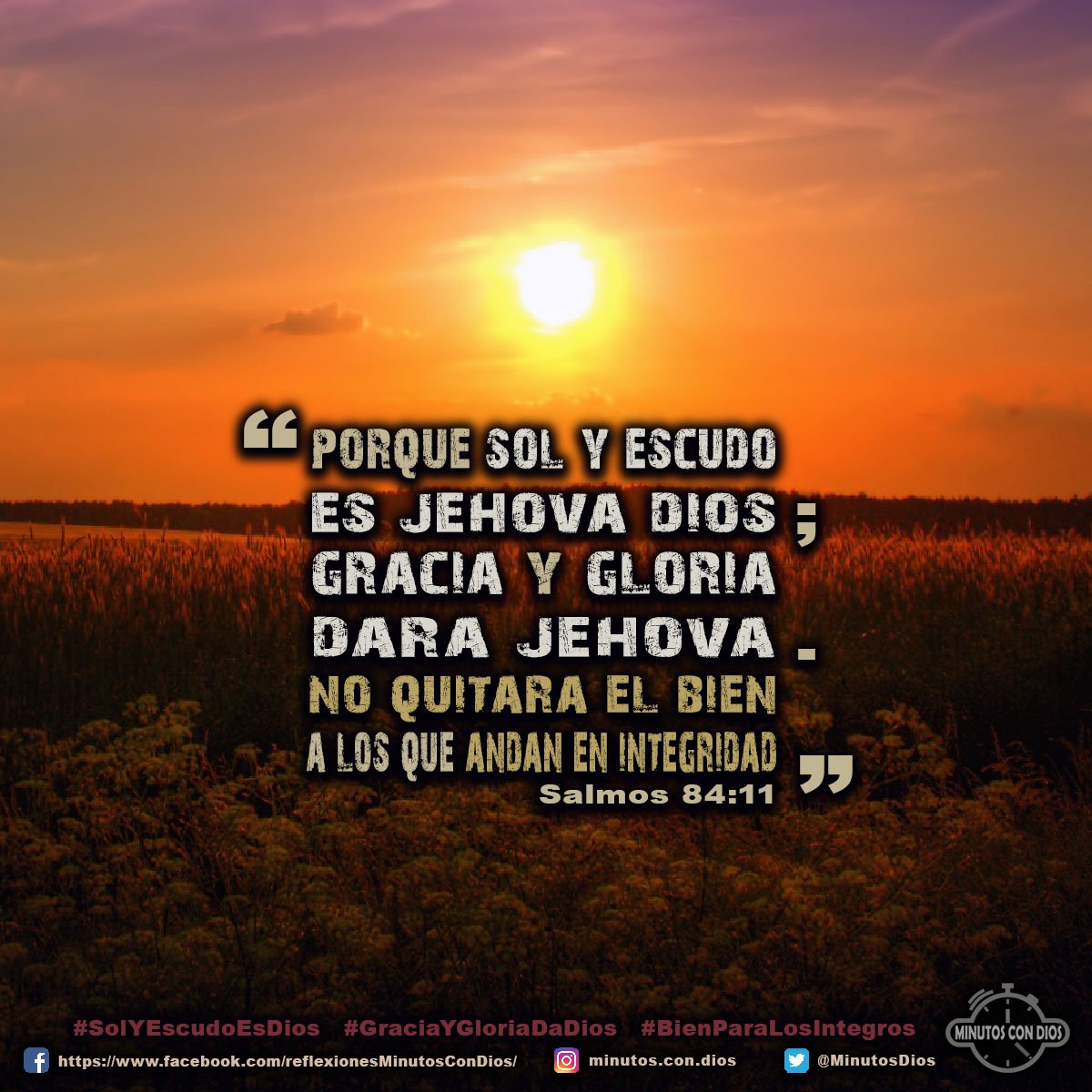 Porque sol y escudo es Jehová Dios; gracia y gloria dará Jehová. No quitará el bien a los que andan en integridad. Salmos 84:11 RVR1960 #SolYEscudoEsDios, #GraciaYGloriaDaDios, #BienParaLosIntegros, #MinutosConDios, #ReflexionesDiarias