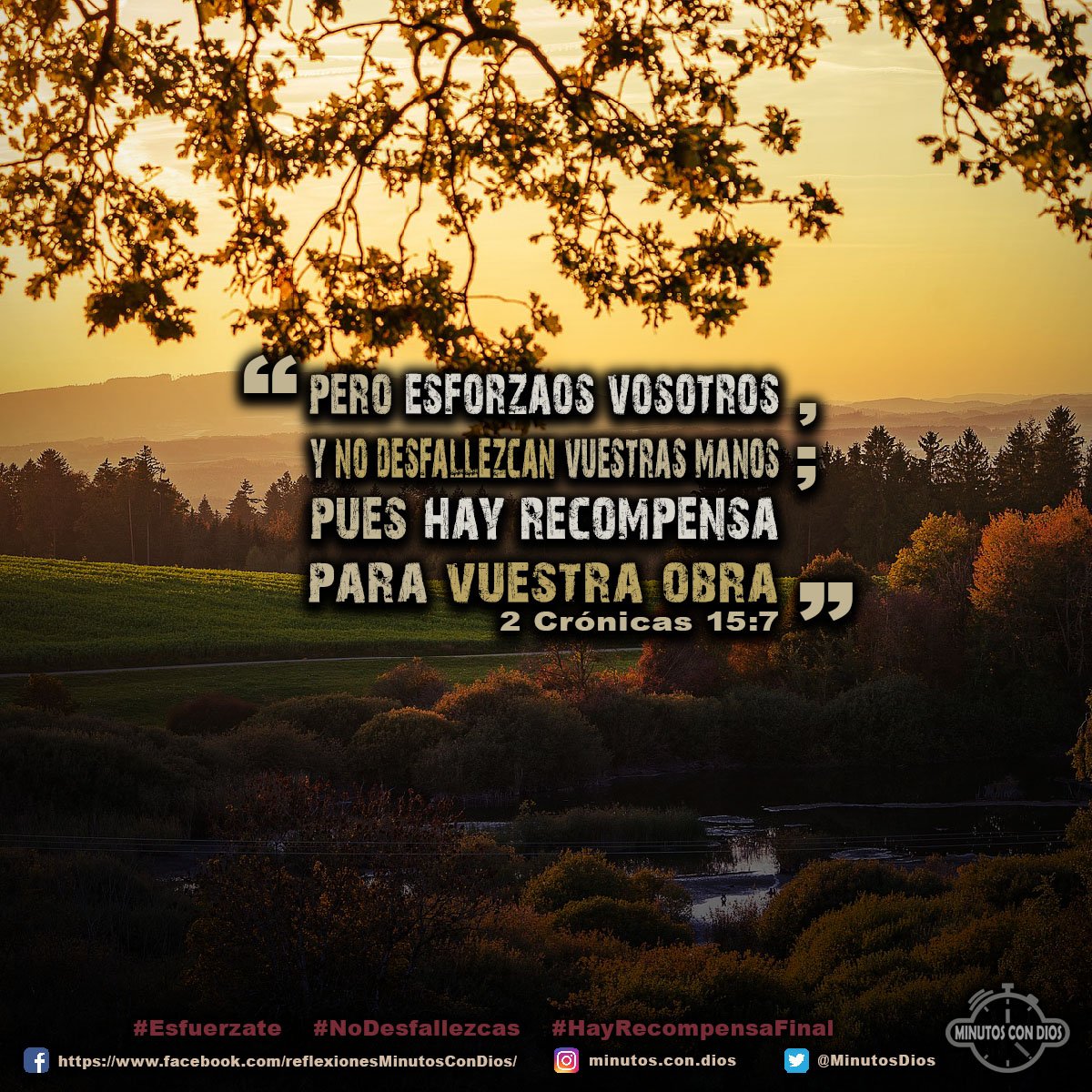 Pero esforzaos vosotros, y no desfallezcan vuestras manos; pues hay recompensa para vuestra obra. 2 Crónicas 15:7 RVR1960 #Esfuerzate, #NoDesfallezcas, #HayRecompensaFinal, #MinutosConDios, #ReflexionesDiarias