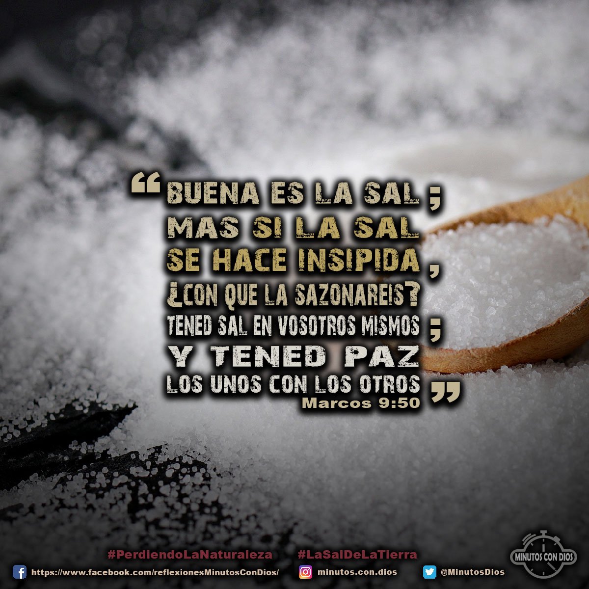 Buena es la sal; mas si la sal se hace insípida, ¿con qué la sazonaréis? Tened sal en vosotros mismos; y tened paz los unos con los otros. Marcos 9:50 RVR1960 #PerdiendoLaNaturaleza, #LaSalDeLaTierra, #MinutosConDios, #ReflexionesDiarias