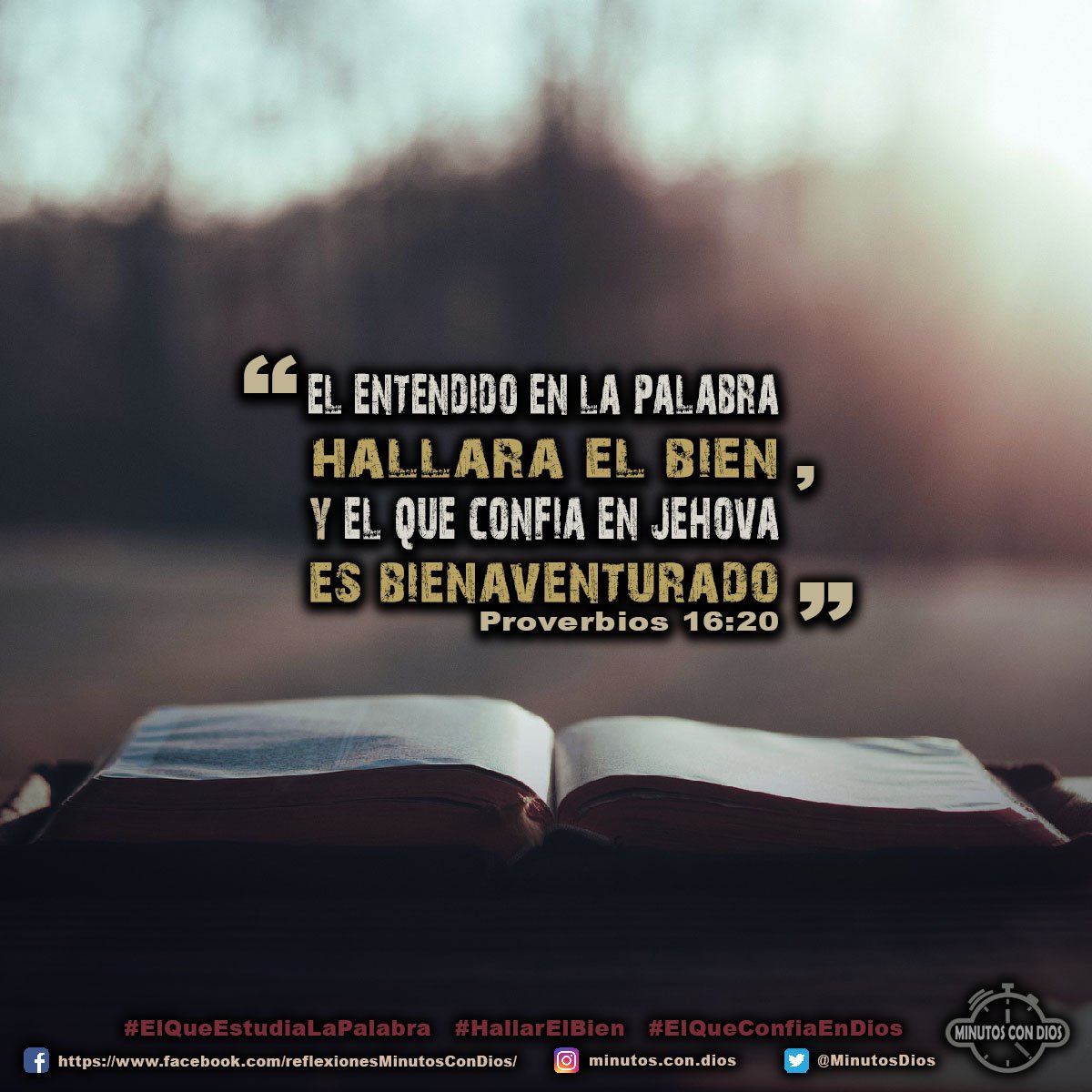 El entendido en la palabra hallará el bien, y el que confía en Jehová es bienaventurado. Proverbios 16:20 RVR1960 #ElQueEstudiaLaPalabra, #HallarElBien, #ElQueConfiaEnDios, #MinutosConDios, #ReflexionesDiarias