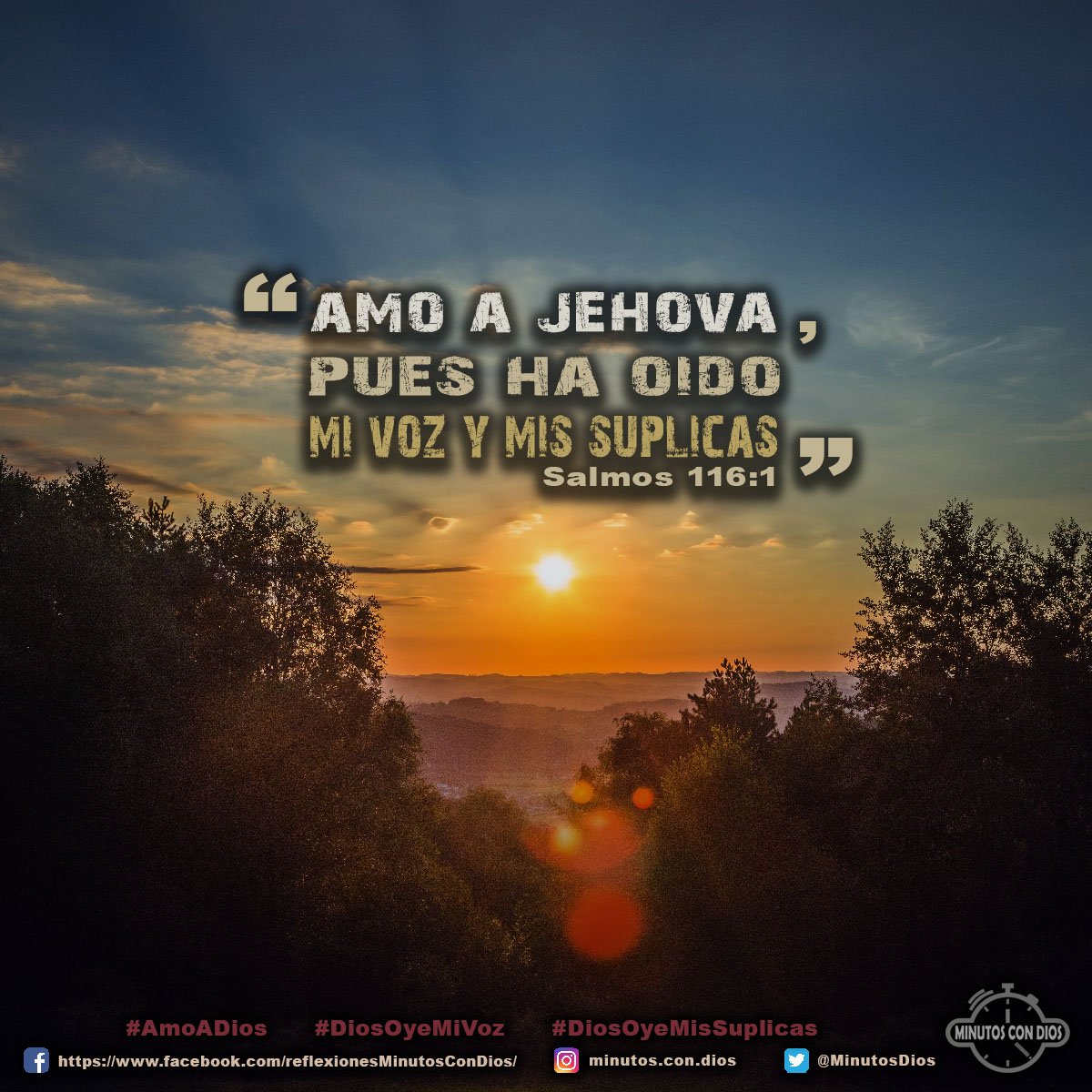 Amo a Jehová, pues ha oído mi voz y mis súplicas. Salmos 116:1 RVR1960 #AmoADios, #DiosOyeMiVoz, #DiosOyeMisSuplicas, #MinutosConDios, #ReflexionesDiarias