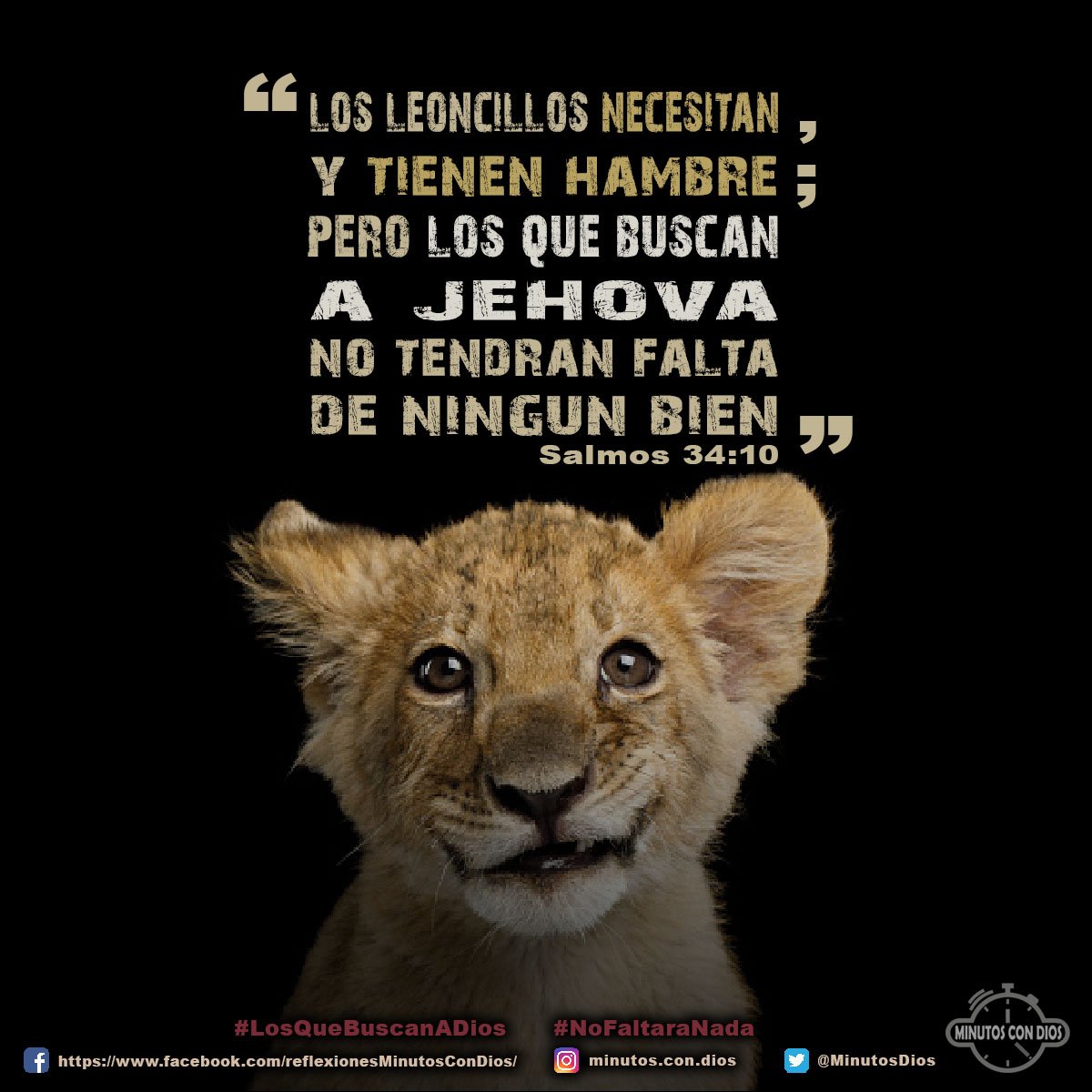 Los leoncillos necesitan, y tienen hambre; pero los que buscan a Jehová no tendrán falta de ningún bien. Salmos 34:10 RVR1960 #LosQueBuscanADios, #NoFaltaraNada, #MinutosConDios, #ReflexionesDiarias
