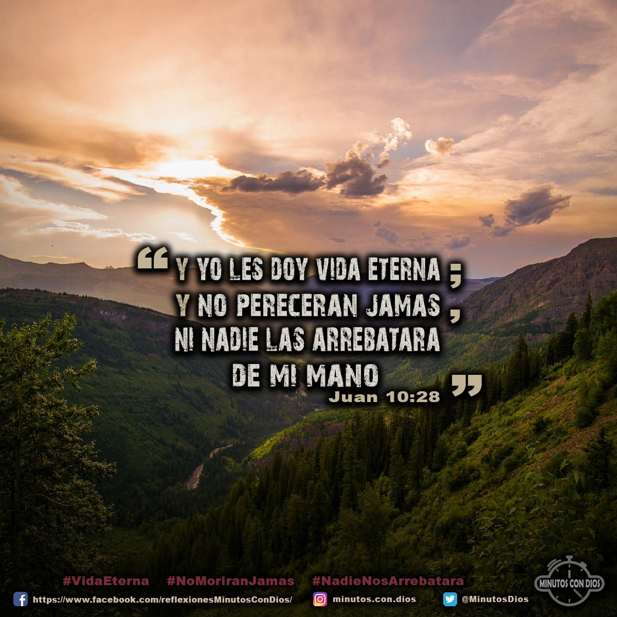 y yo les doy vida eterna; y no perecerán jamás, ni nadie las arrebatará de mi mano. Juan 10:28 RVR1960 #VidaEterna, #NoMoriranJamas, #NadieNosArrebatara, #MinutosConDios, #ReflexionesDiarias