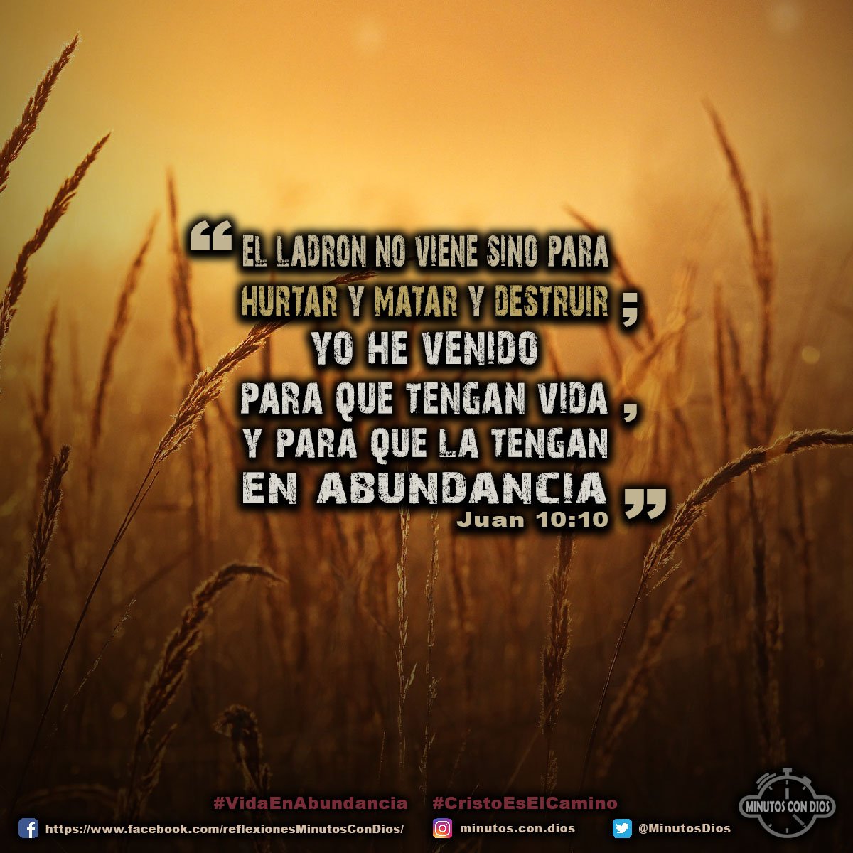 El ladrón no viene sino para hurtar y matar y destruir; yo he venido para que tengan vida, y para que la tengan en abundancia. Juan 10:10 RVR1960 #VidaEnAbundancia, #CristoEsElCamino, #MinutosConDios, #ReflexionesDiarias
