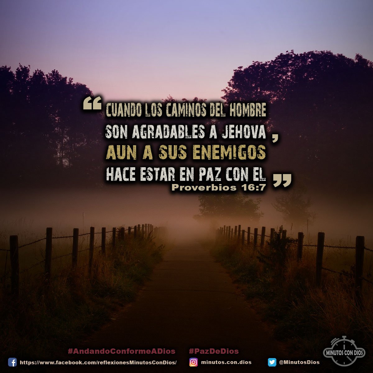 Cuando los caminos del hombre son agradables a Jehová, aun a sus enemigos hace estar en paz con él. Proverbios 16:7 RVR1960 #AndandoConformeADios, #PazDeDios, #MinutosConDios, #ReflexionesDiarias