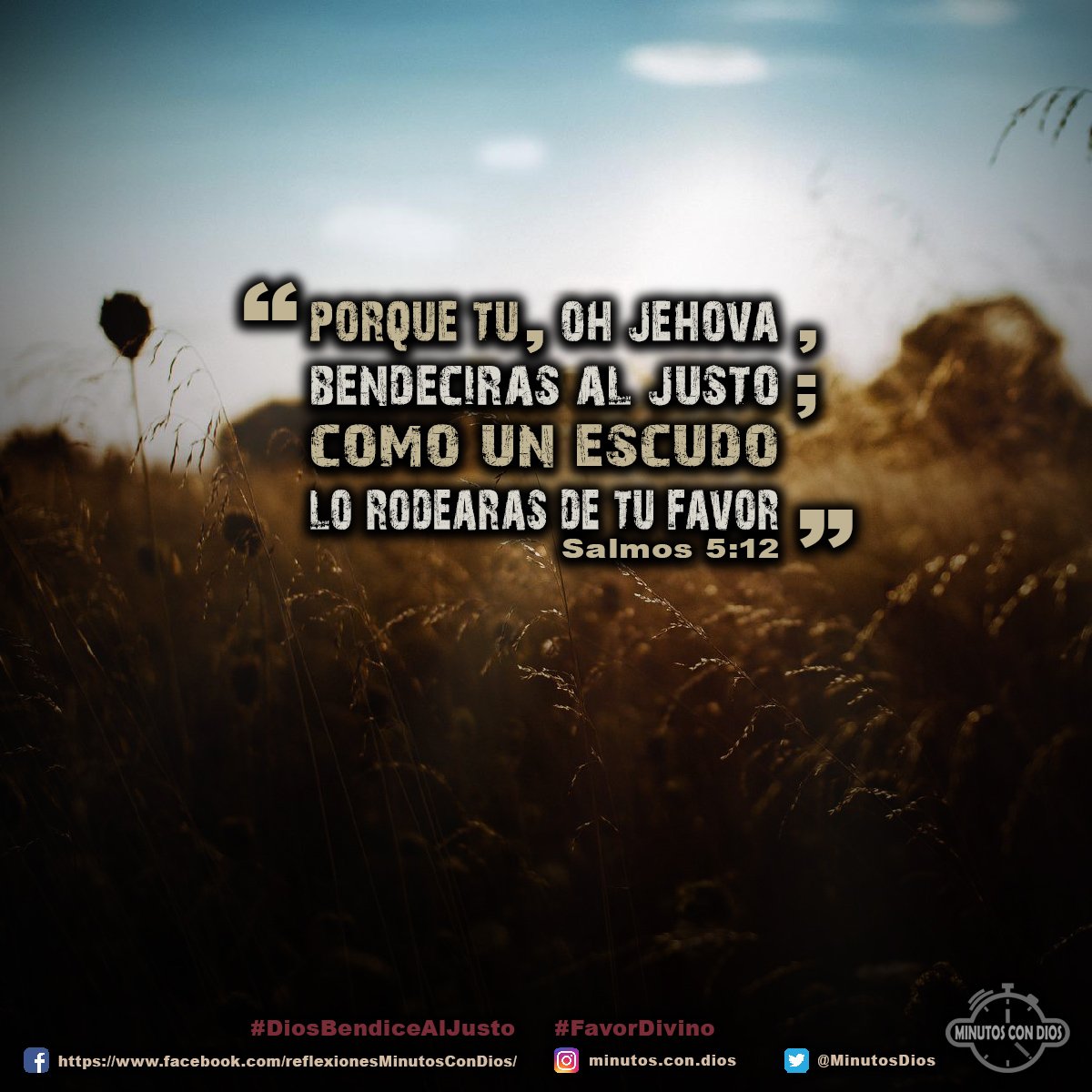 Porque tú, oh Jehová, bendecirás al justo; como con un escudo lo rodearás de tu favor. Salmos 5:12 RVR1960 #DiosBendiceAlJusto, #FavorDivino, #MinutosConDios, #ReflexionesDiarias