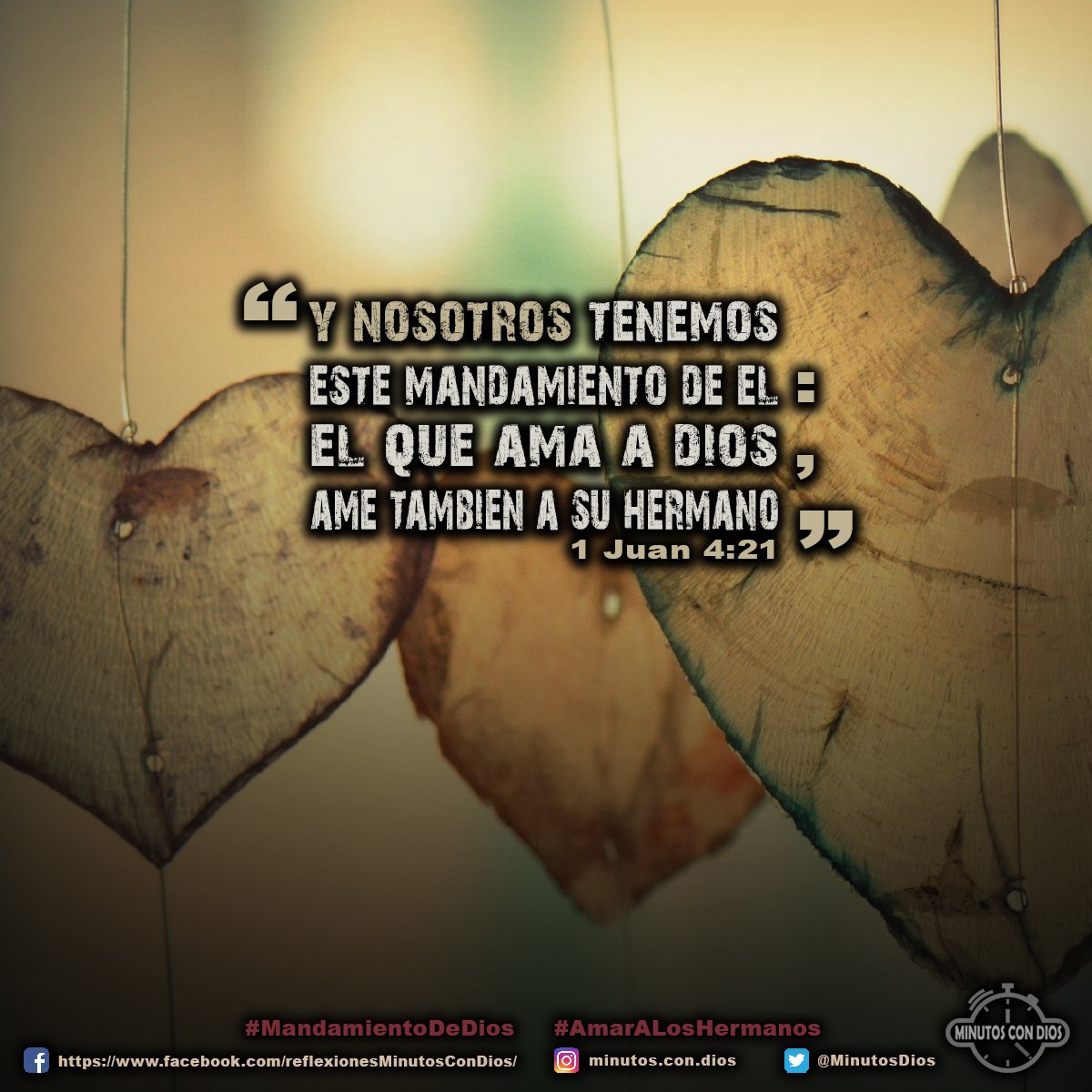 Y nosotros tenemos este mandamiento de Él: El que ama a Dios, ame también a su hermano. 1 Juan 4:21 RVR1960 #MandamientoDeDios, #AmarALosHermanos, #MinutosConDios, #ReflexionesDiarias