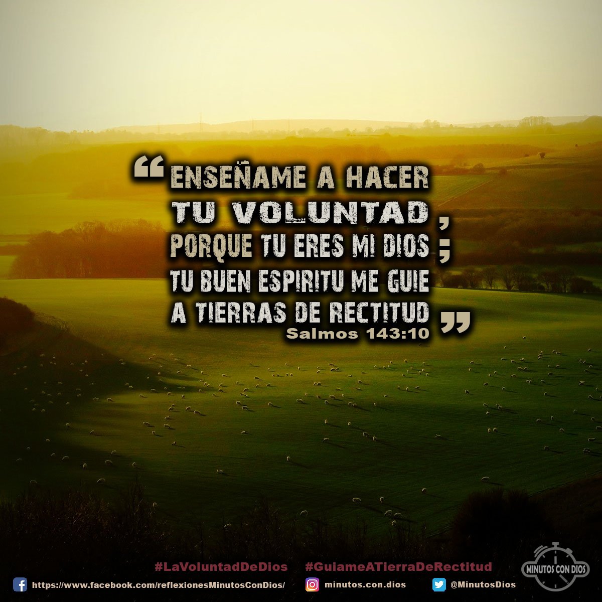 Enséñame a hacer Tu voluntad, porque Tú eres mi Dios; Tu buen espíritu me guíe a tierra de rectitud. Salmos 143:10 RVR1960 #LaVoluntadDeDios, #GuiameATierraDeRectitud, #MinutosConDios, #ReflexionesDiarias