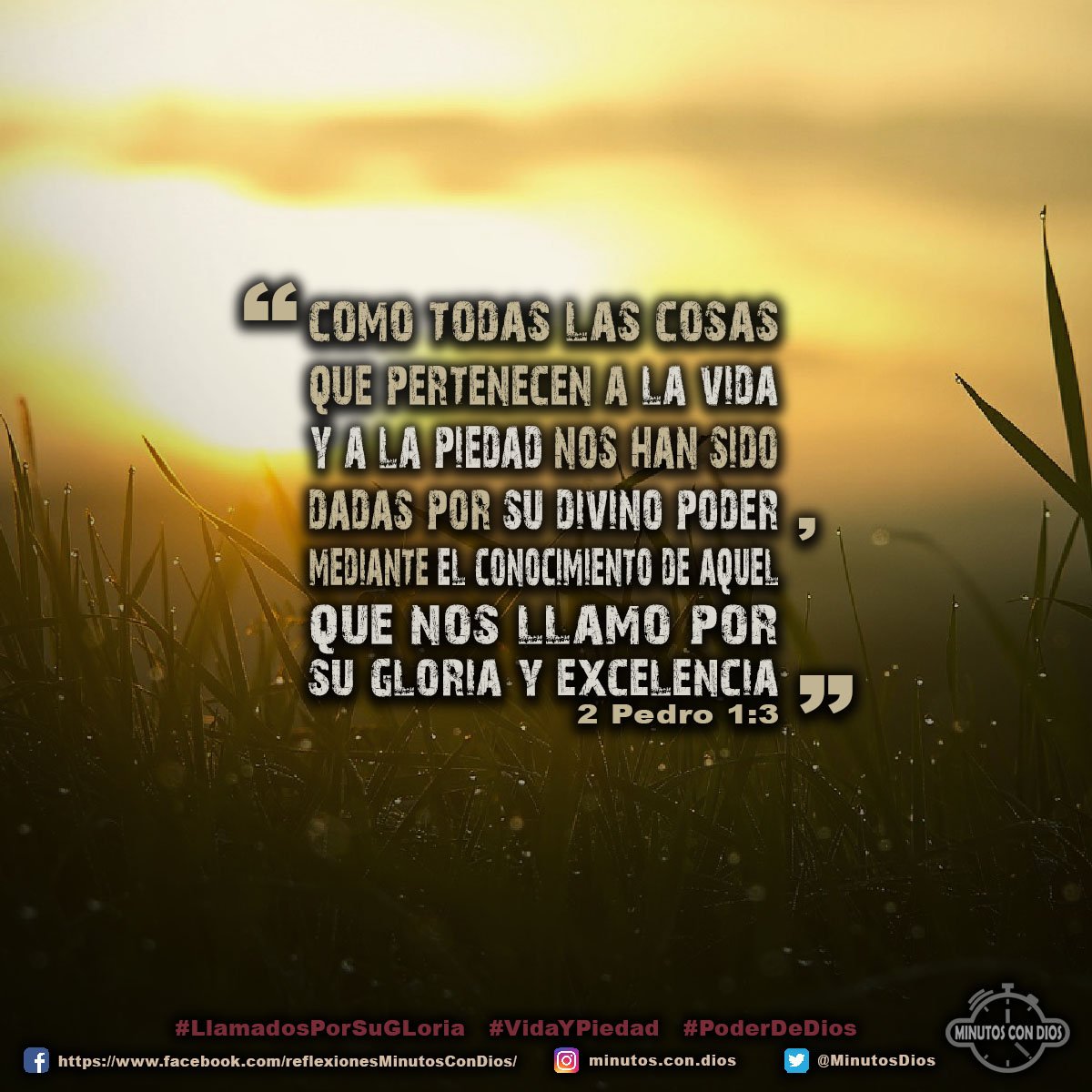 Como todas las cosas que pertenecen a la vida y a la piedad nos han sido dadas por Su divino poder, mediante el conocimiento de aquel que nos llamó por Su gloria y excelencia. 2 Pedro 1:3 RVR1960 #LlamadosPorSuGLoria, #VidaYPiedad, #PoderDeDios, #MinutosConDios, #ReflexionesDiarias