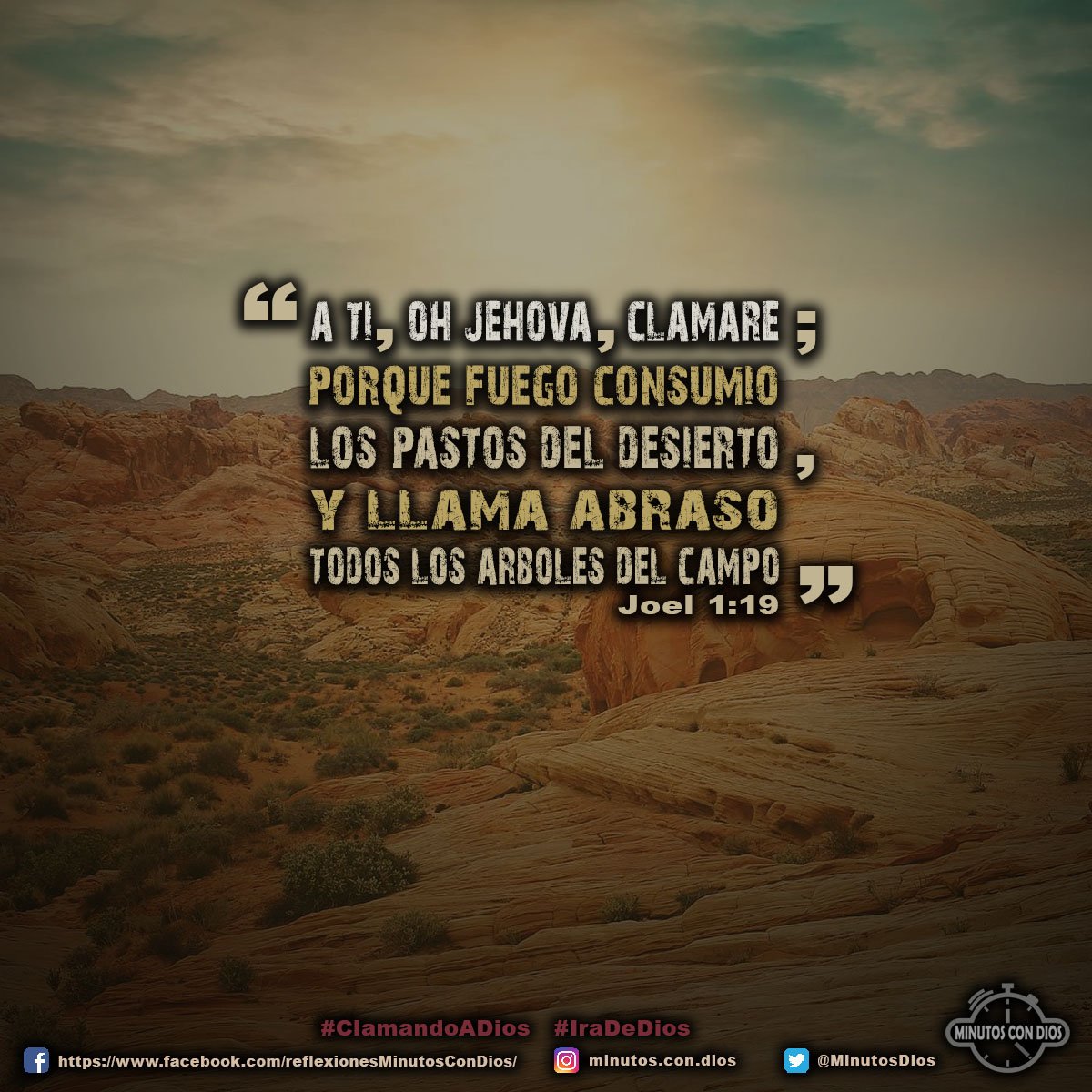 A ti, oh Jehová, clamaré; porque fuego consumió los pastos del desierto, y llama abrasó todos los árboles del campo. Joel 1:19 RVR1960 #ClamandoADios, #IraDeDios, #MinutosConDios, #ReflexionesDiarias