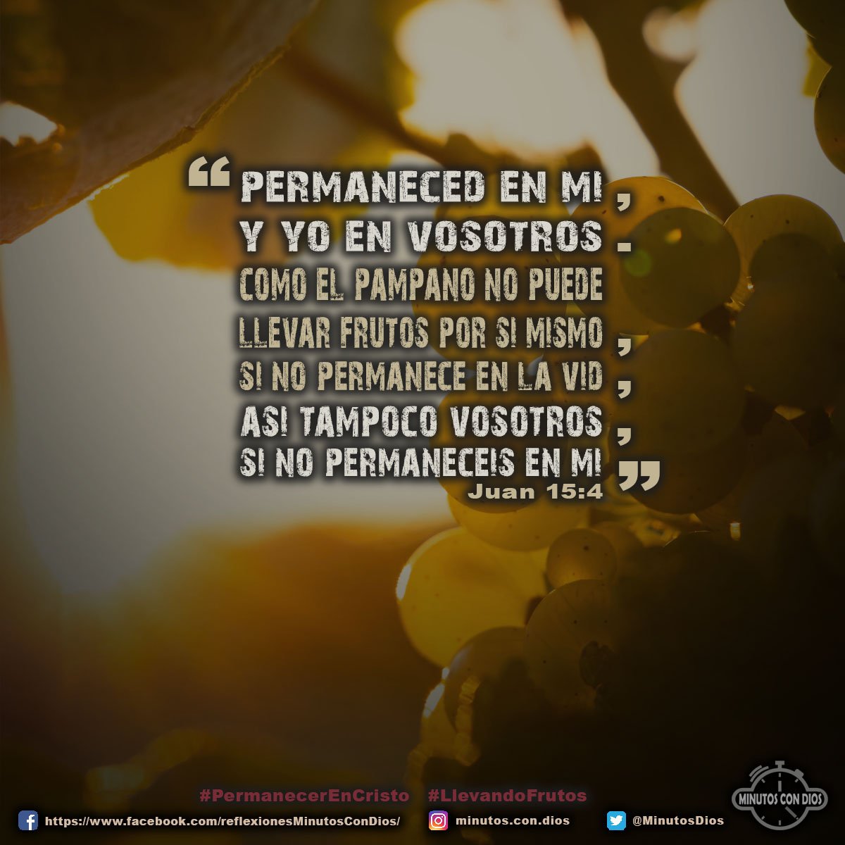 Permaneced en mí, y yo en vosotros. Como el pámpano no puede llevar fruto por sí mismo, si no permanece en la vid, así tampoco vosotros, si no permanecéis en mí. Juan 15:4 RVR1960 #PermanecerEnCristo, #LlevandoFrutos, #MinutosConDios, #ReflexionesDiarias