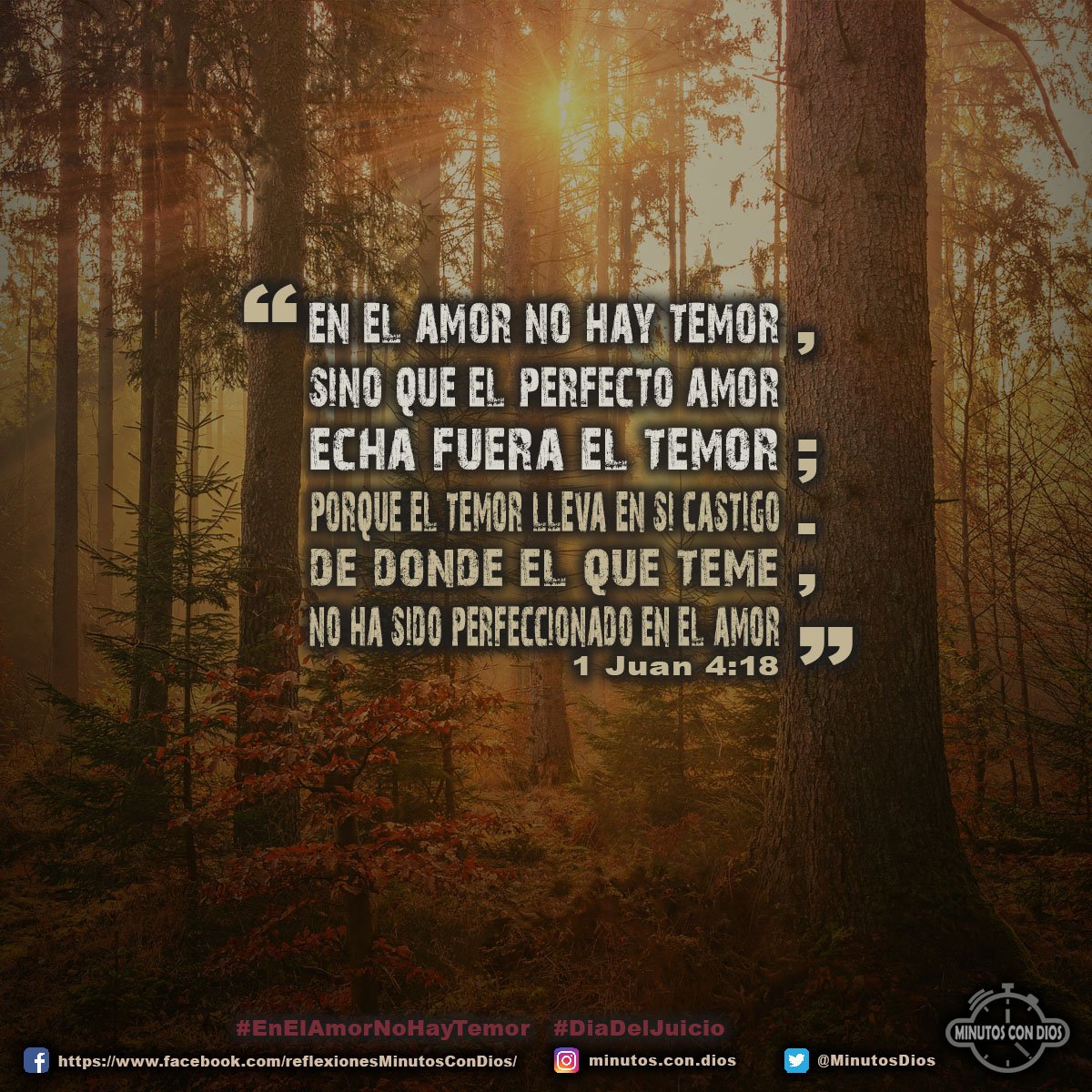 En el amor no hay temor, sino que el perfecto amor echa fuera el temor; porque el temor lleva en sí castigo. De donde el que teme, no ha sido perfeccionado en el amor. 1 Juan 4:18 RVR1960 #EnElAmorNoHayTemor, #DiaDelJuicio, #MinutosConDios, #ReflexionesDiarias